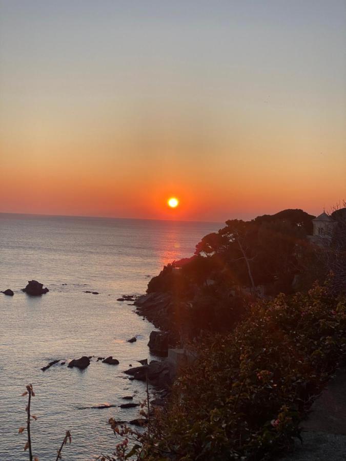 Bogliasco Wine Loft Lägenhet Exteriör bild